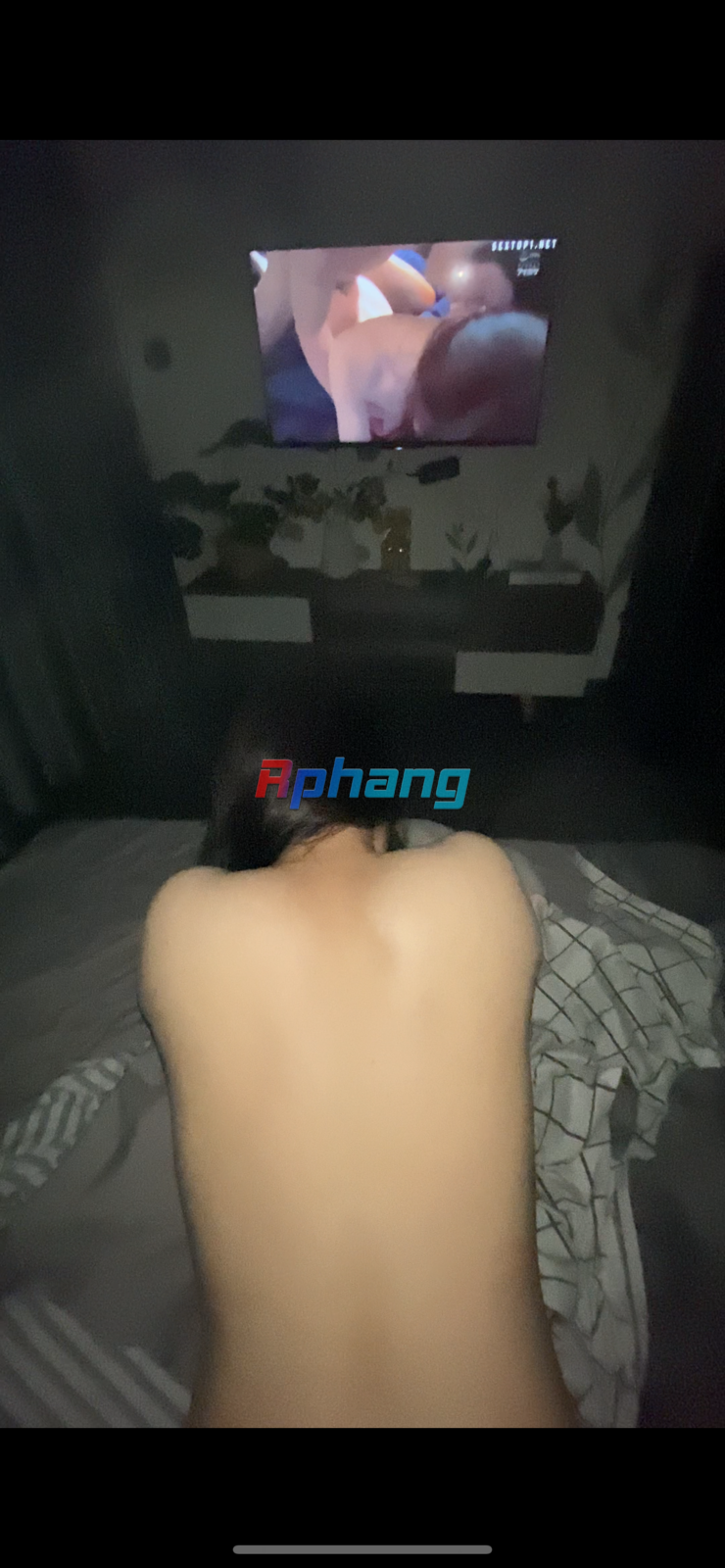 8C2C1816-5111-4430-BA9D-BBF88A9D94BA.png