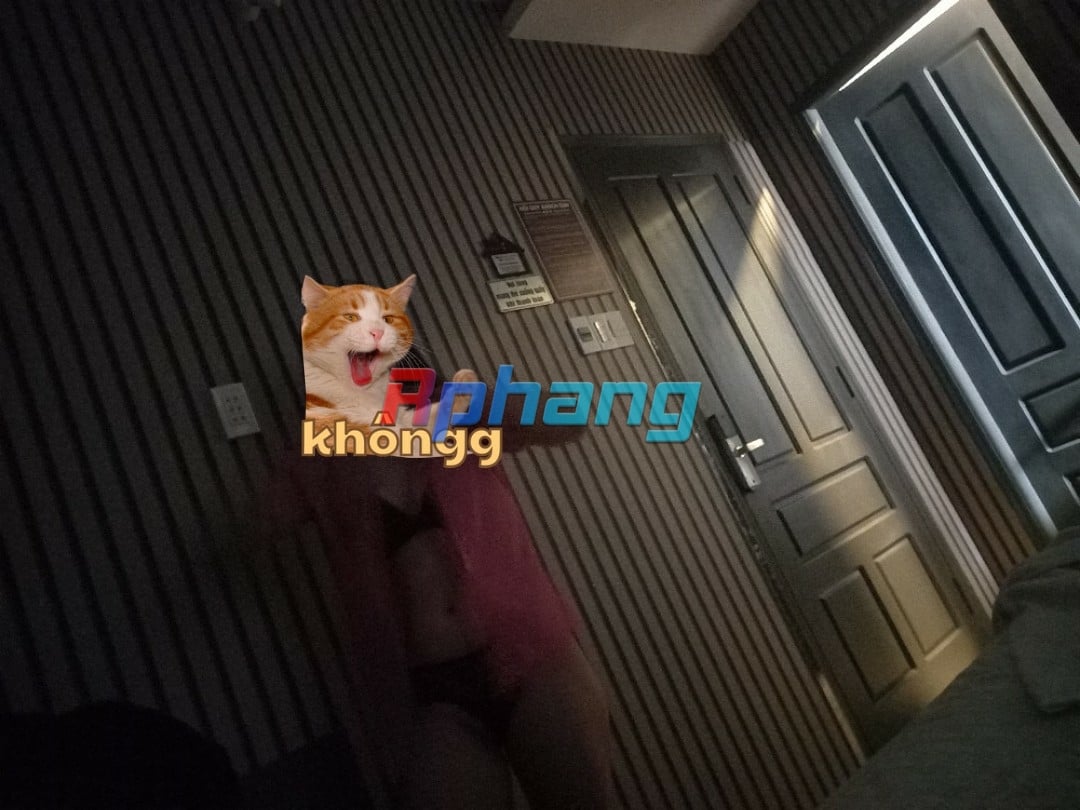 z5654256433947_c2d37cb06538cc751448d8dac5b5e1f5.jpg