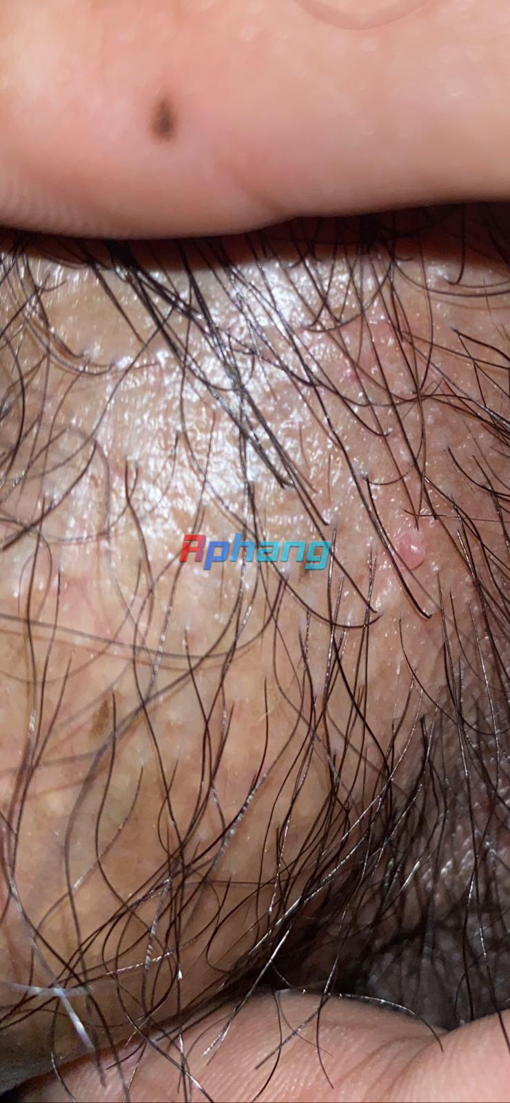 F0B6E3BC-F478-4E98-9546-0CB00CA3F25A.png