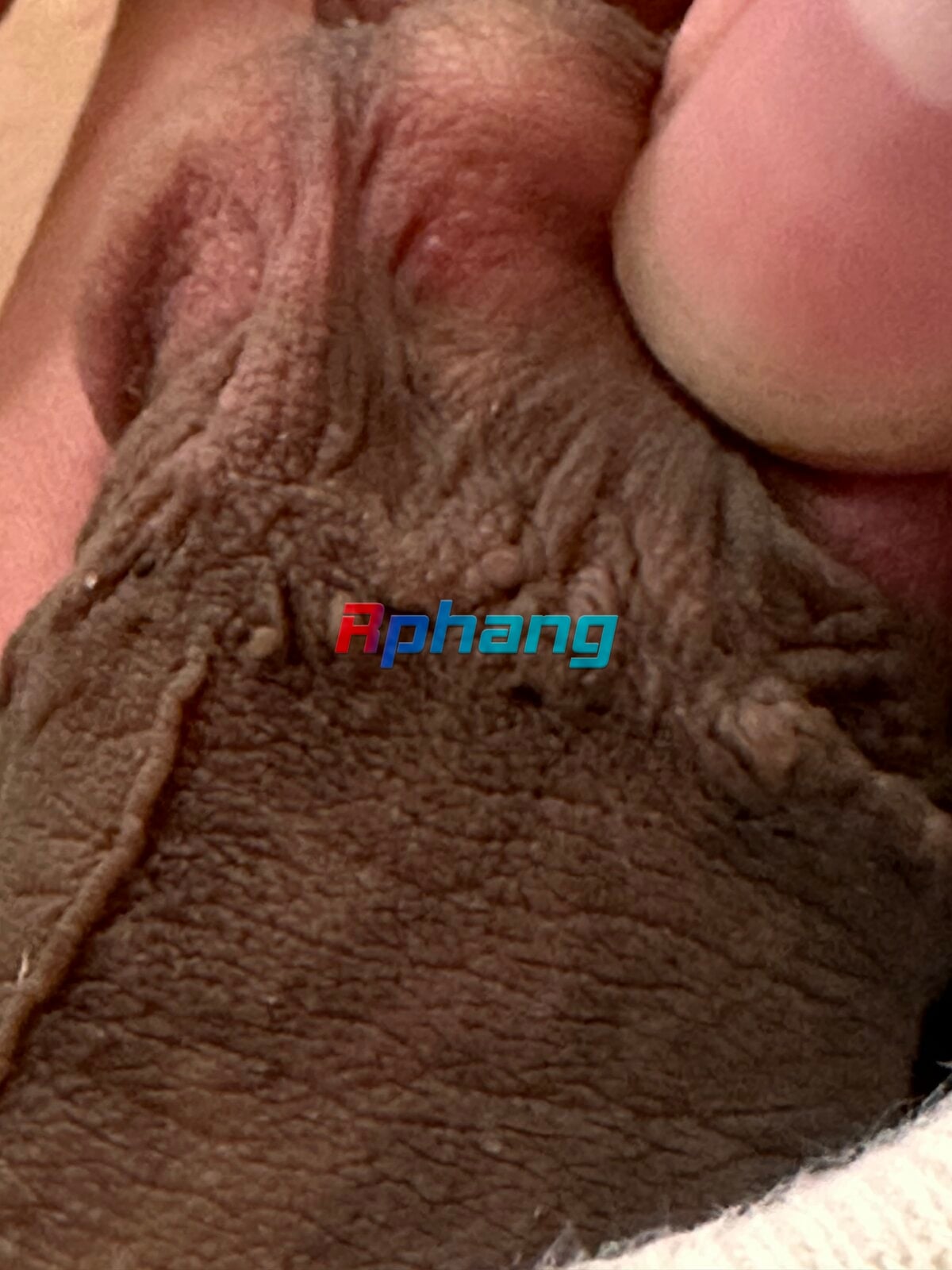 IMG_2931.jpeg