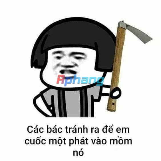 FB_IMG_1716027004445.jpg