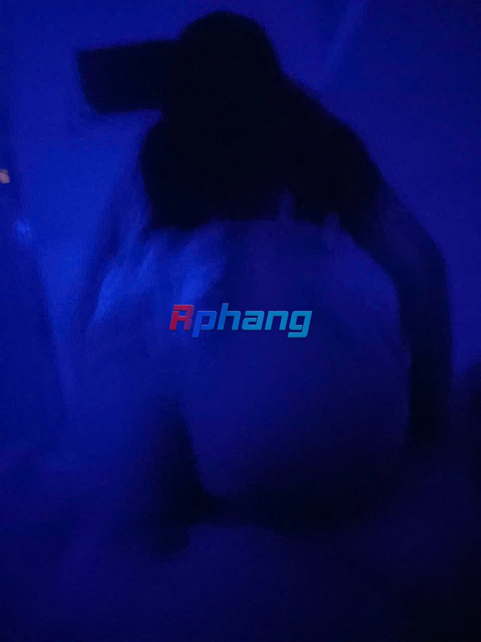 z5941382724545_0f1d35d4cb78943c592a42a558ca5c88.jpg