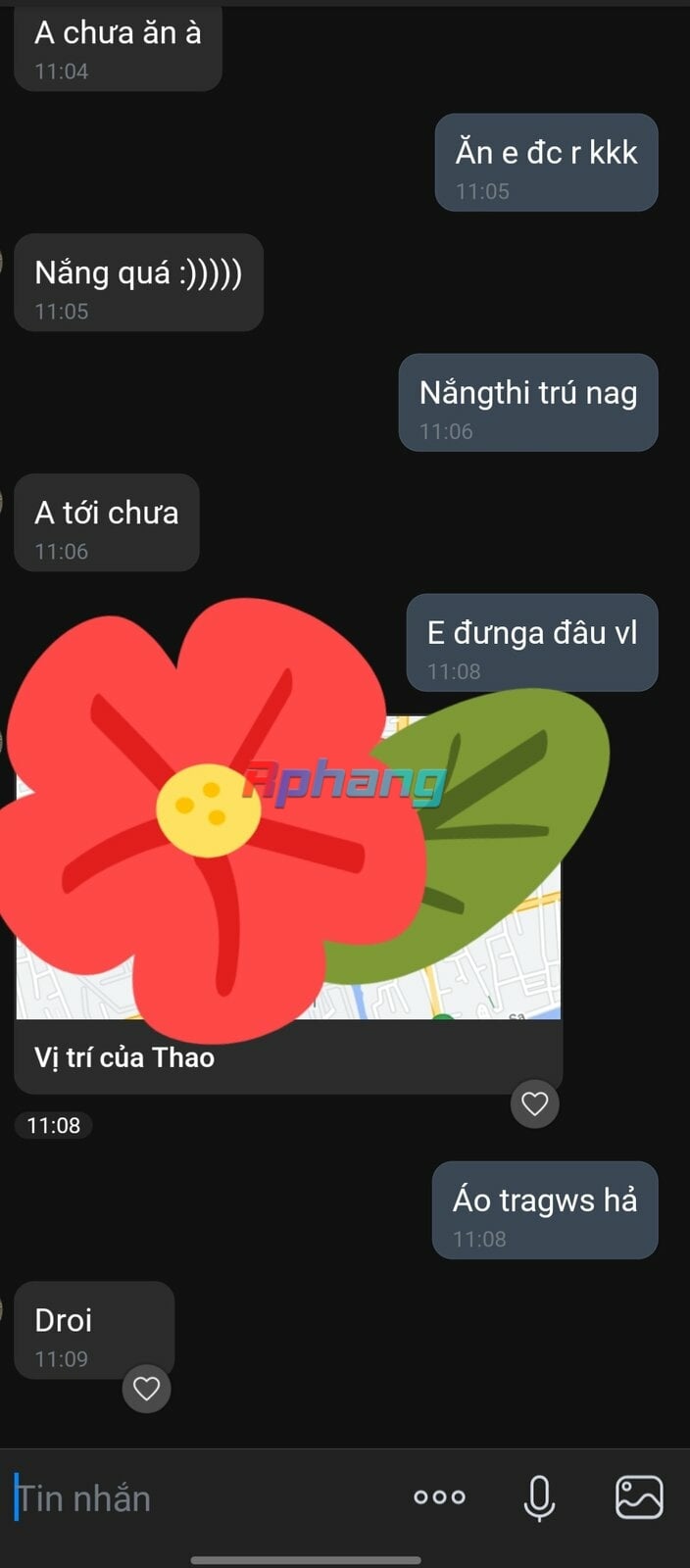 1000004791.jpg