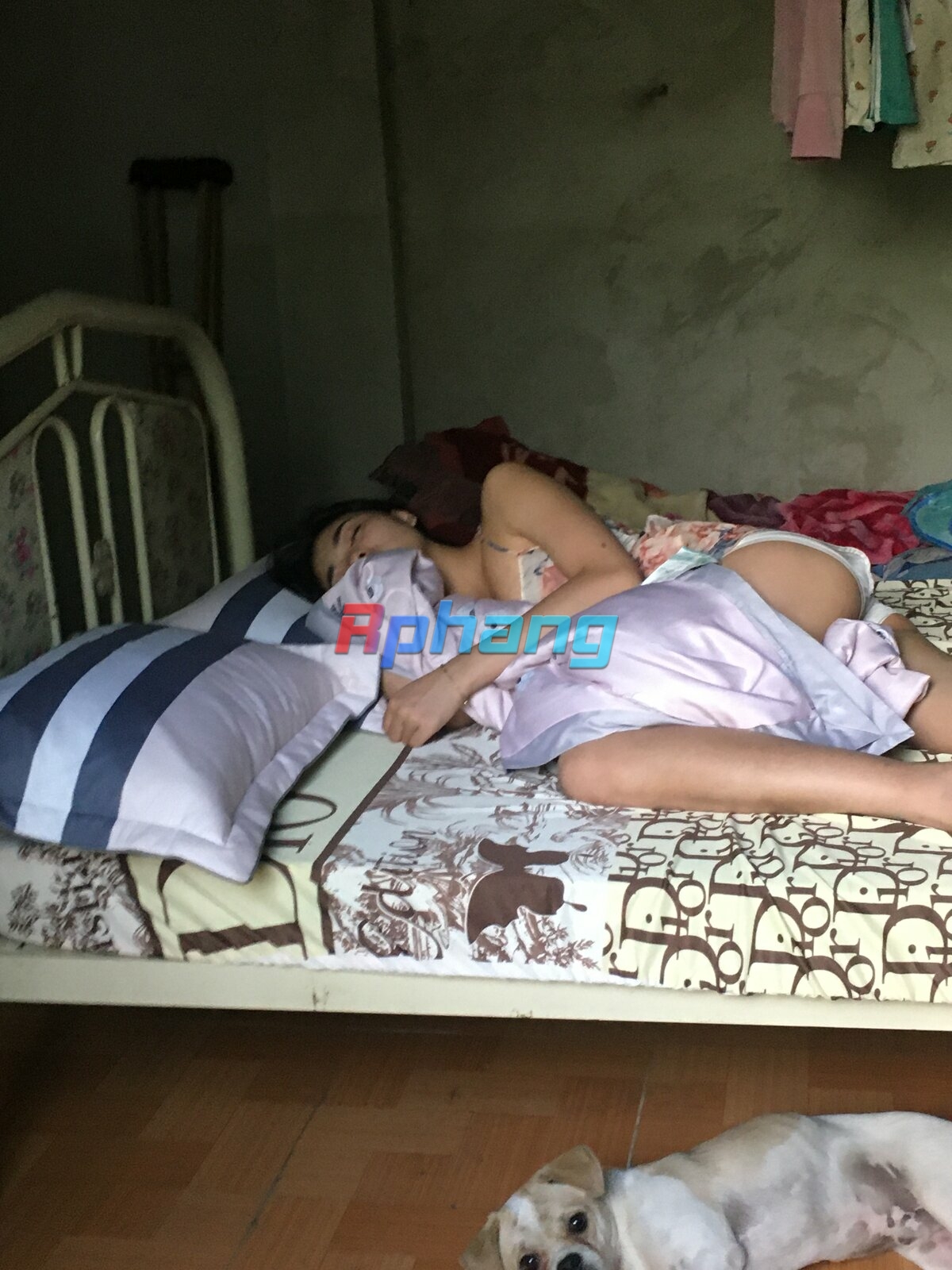 FF3B9454-A0CD-4A9D-89CC-72722AFB4807.jpeg