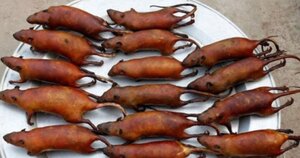 thit-chuot-nuong-doc-nhat-mien-tay-khong-tim-duoc-o-dau-khac1452184545-1706068672800.jpg
