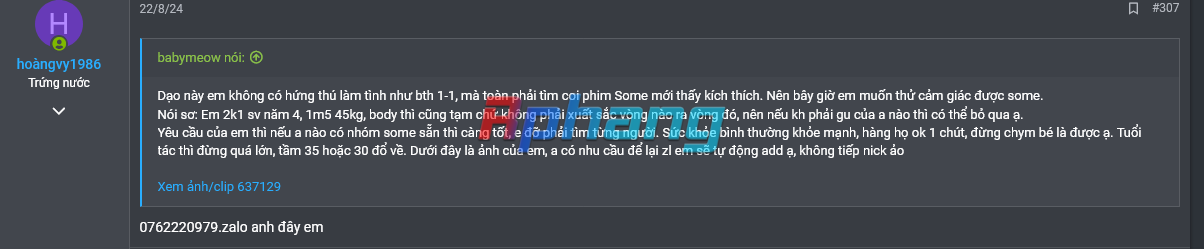 1733250513113.png
