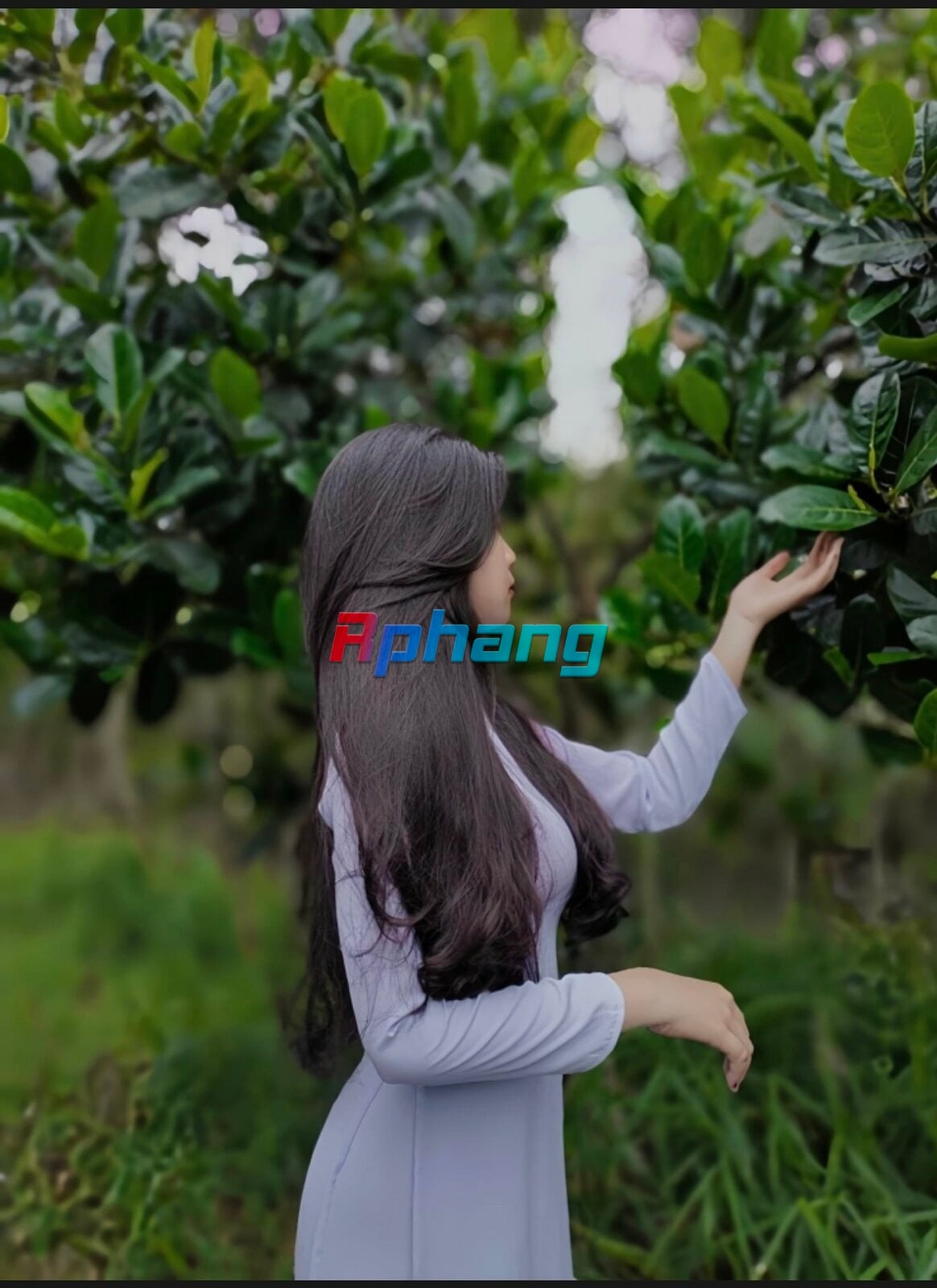 031D834E-5A31-47E6-AACC-5B71595479E5.jpeg