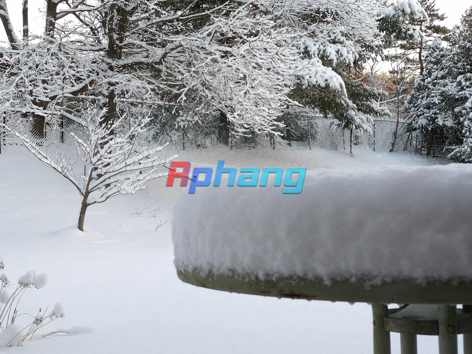Snow_IMG_20250120_072347.jpg
