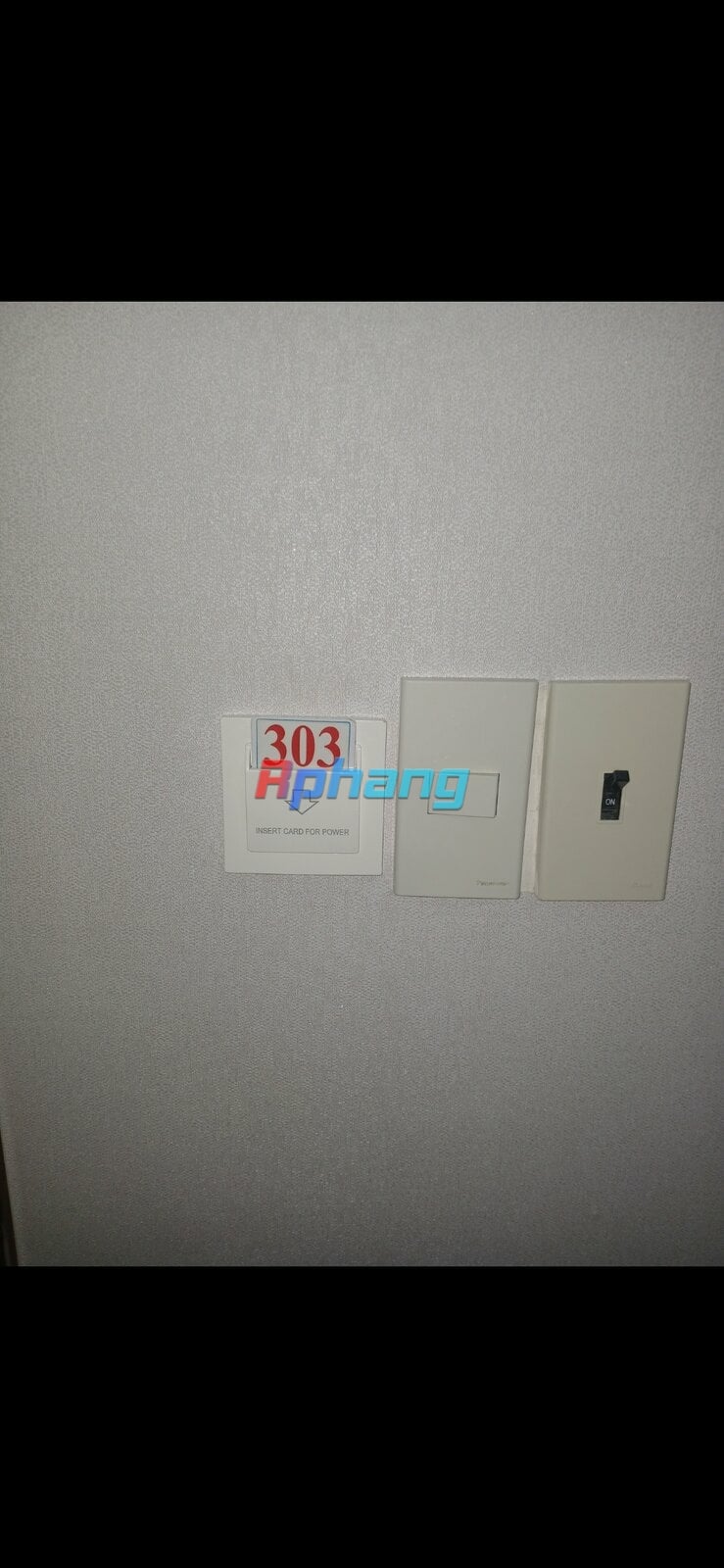 1000000881.jpg