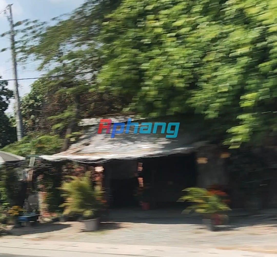 Screenshot_2025-02-04-19-24-36-531_com.miui.mediaviewer-edit.jpg