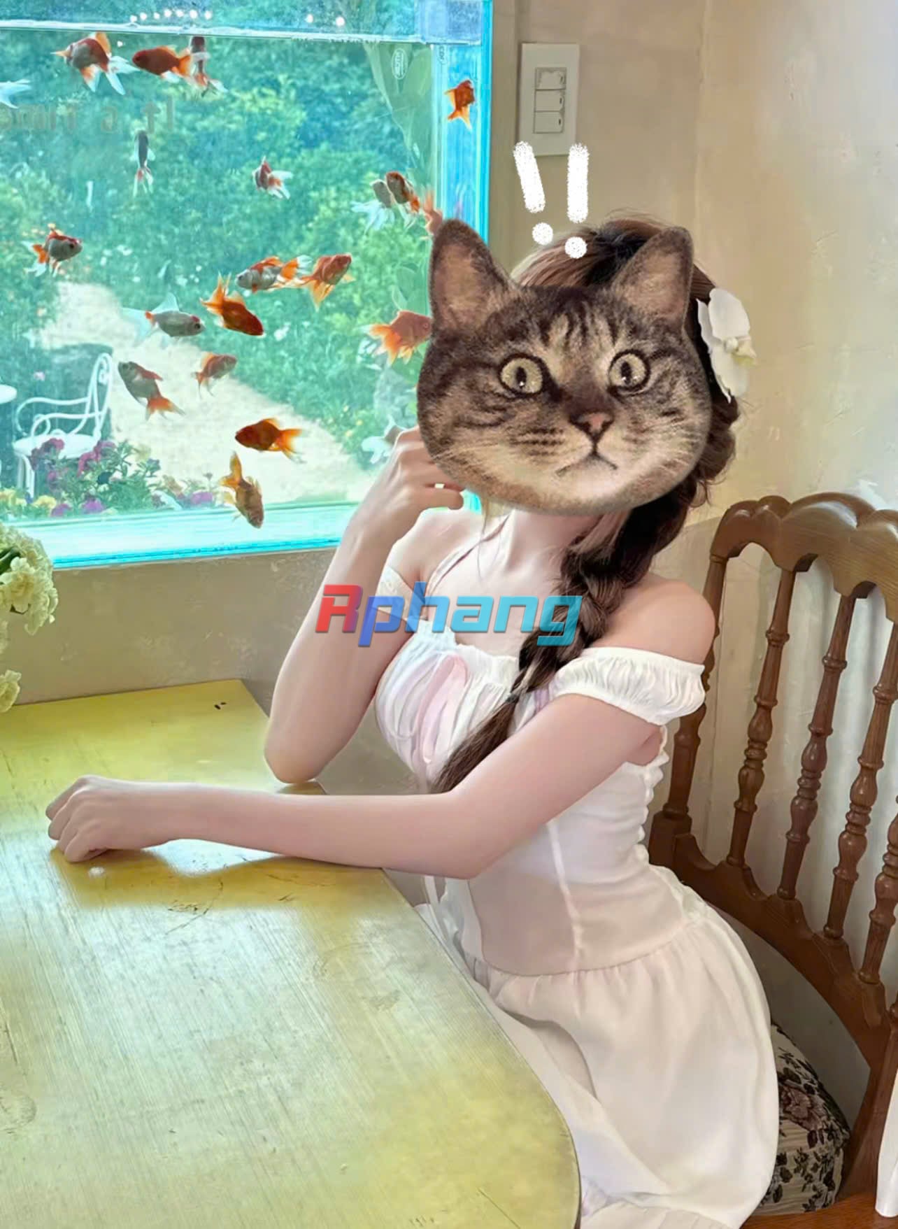 z6474134097792_415f04232174234027eddff11128ee40.jpg