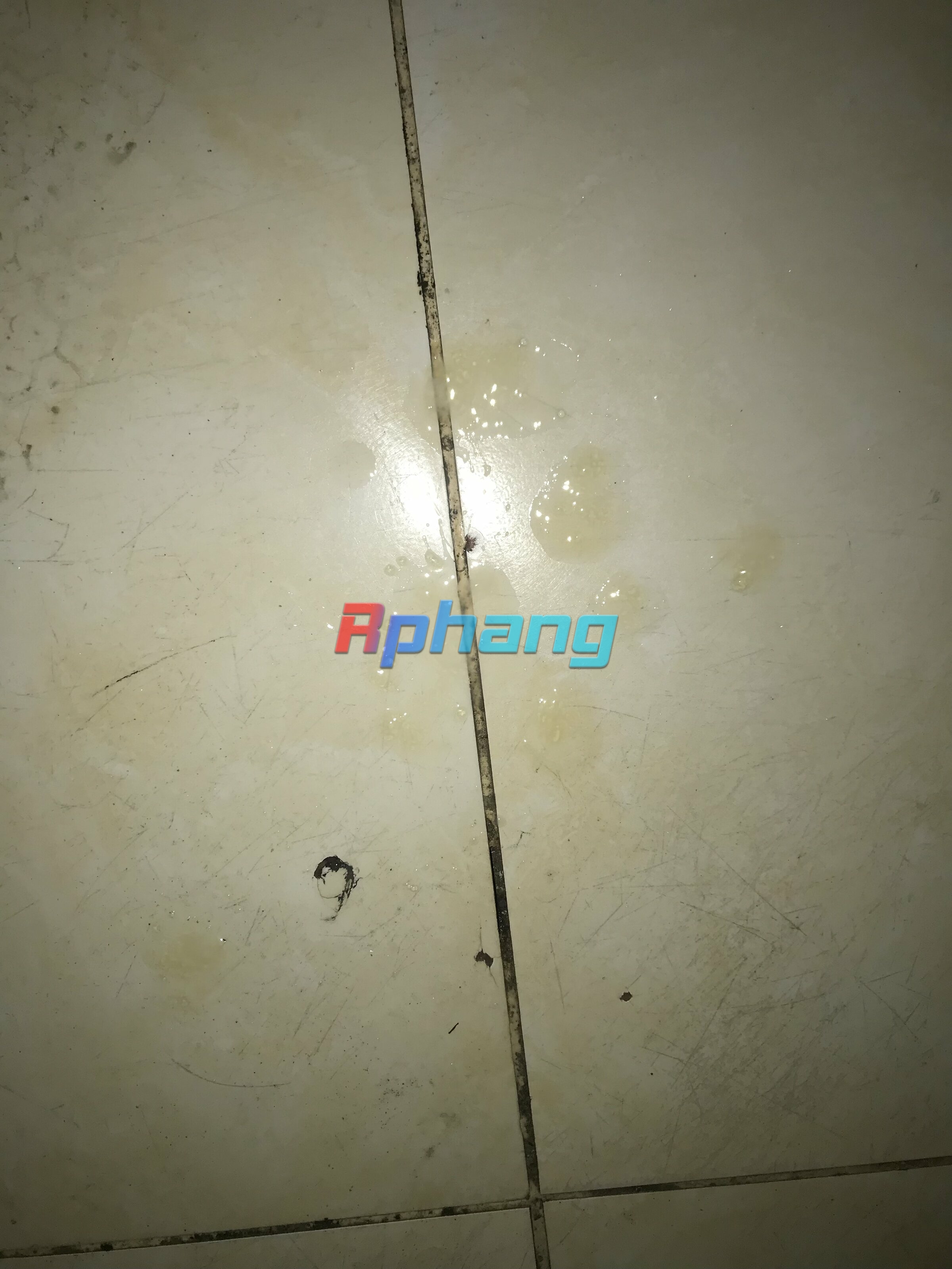 E234A166-F435-481F-A01A-0B9478A45CE6.jpeg