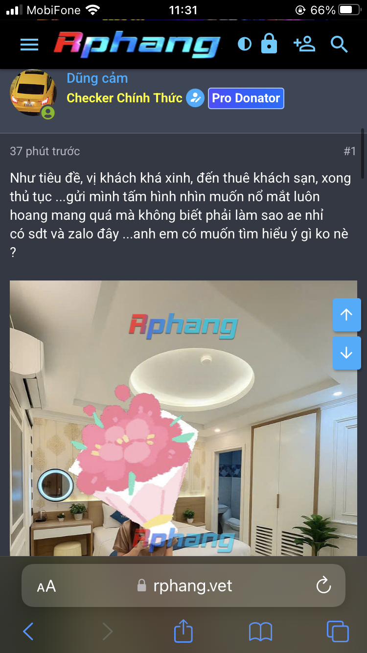 9A06C36F-5941-457C-A3B8-6D0853A4E4D0.png