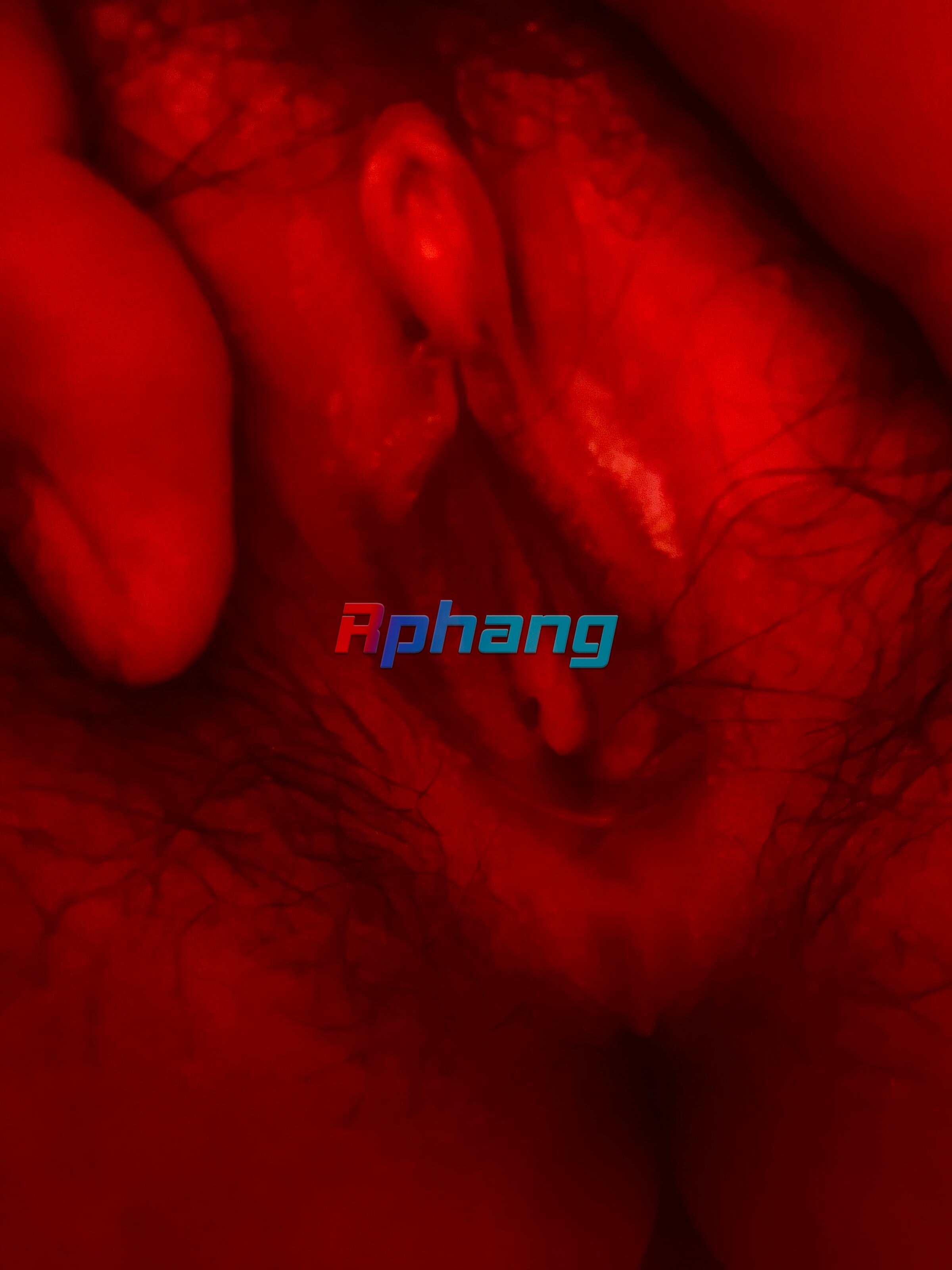 9A04E877-22A1-4DBB-A8C0-95F2E5681F1E.jpeg