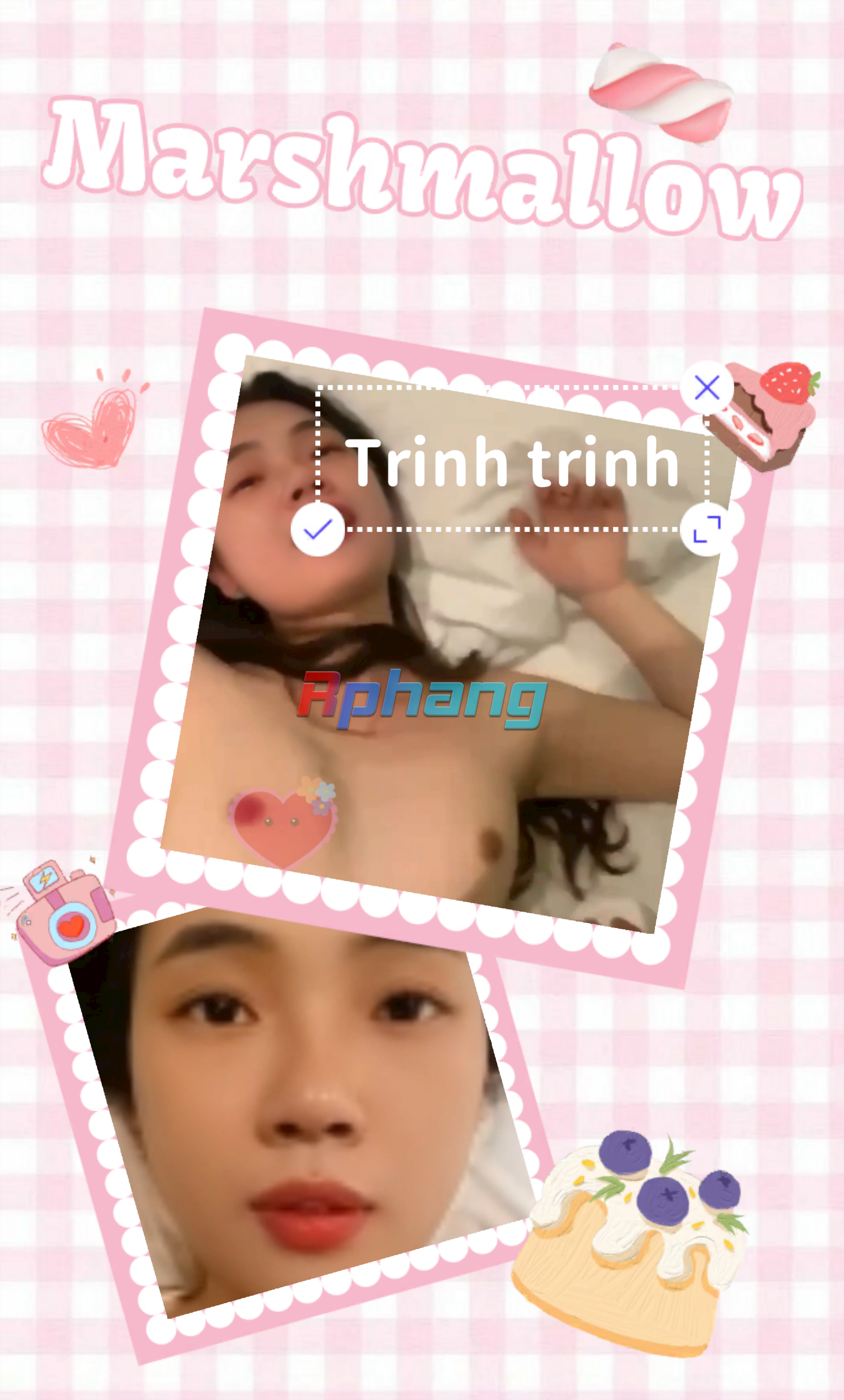CollageImg.png