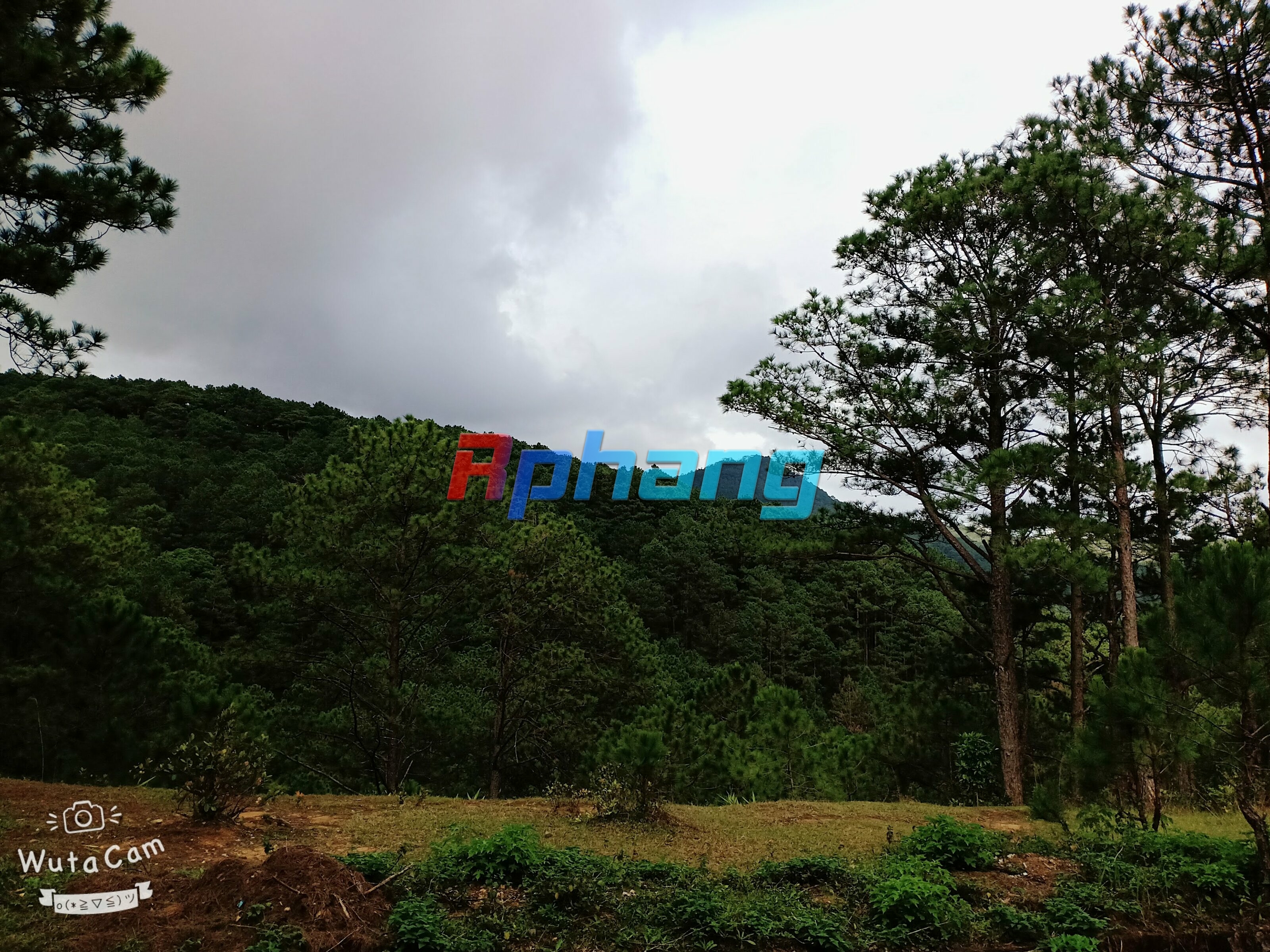 WuTa_2019-09-28_15-41-36.jpg
