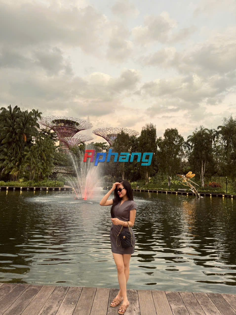 ced6633039ca8d94d4db.jpg