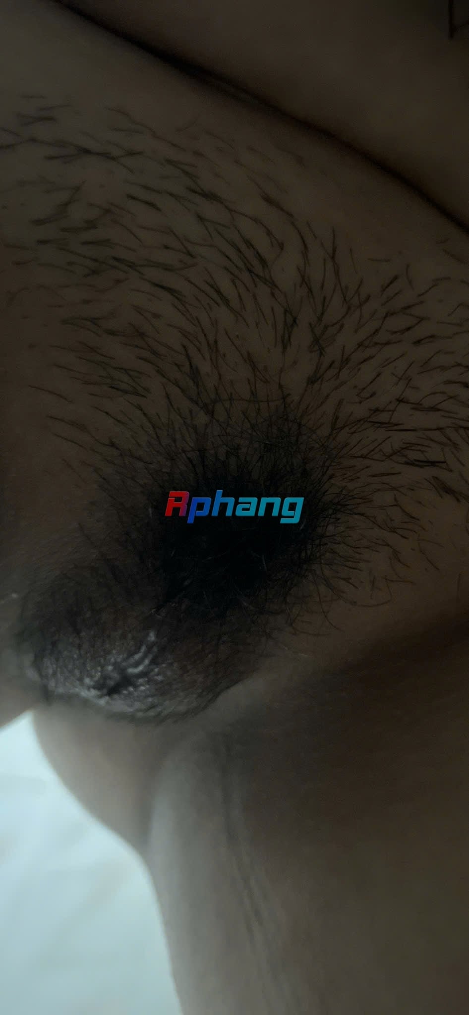 90D6DAB6-D713-4E54-9AE7-099CD6CB7300.jpeg