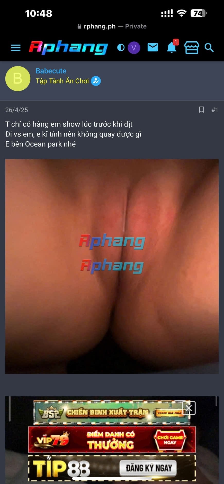 IMG_2702.jpeg