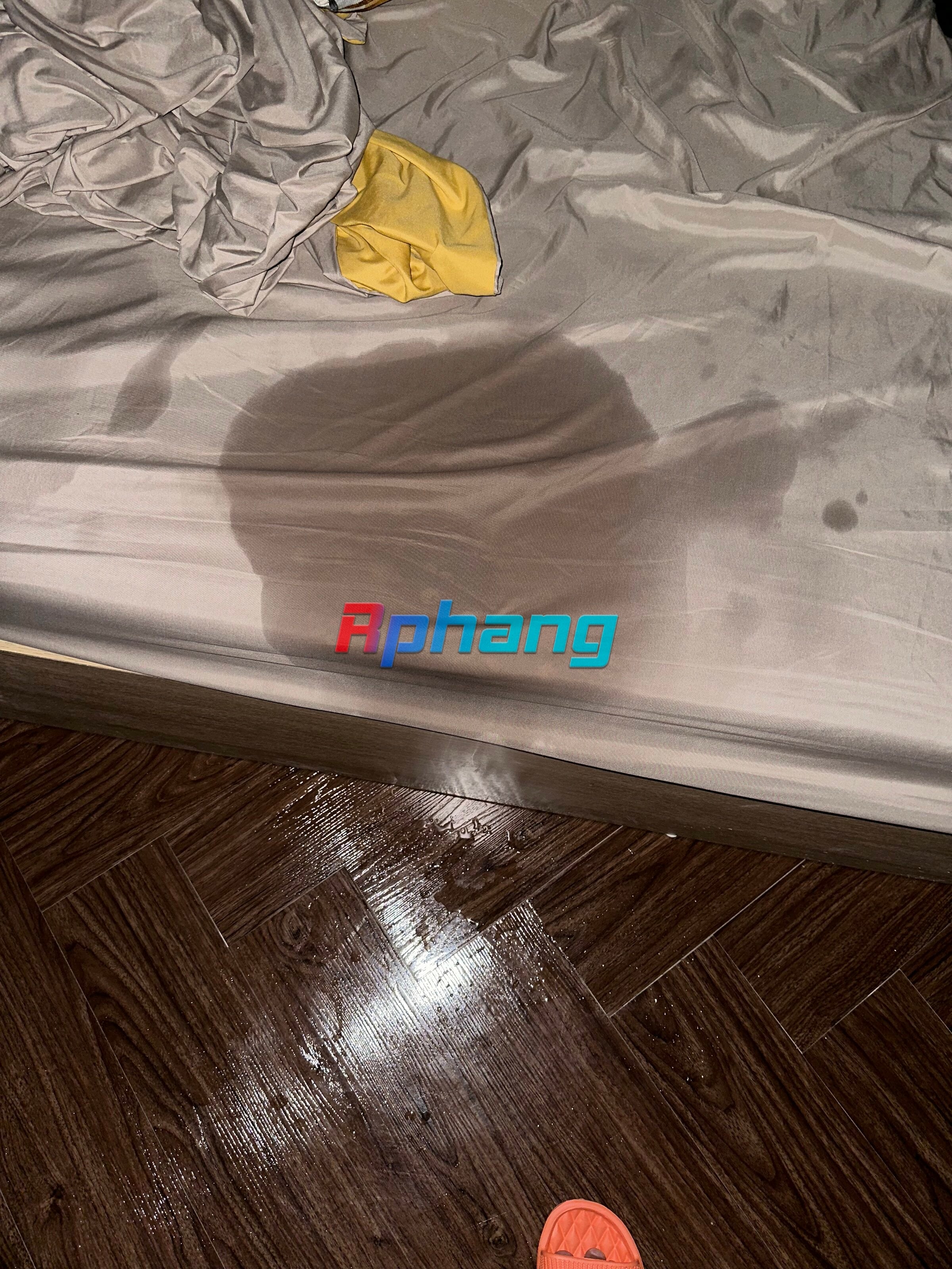 IMG_6252.jpeg