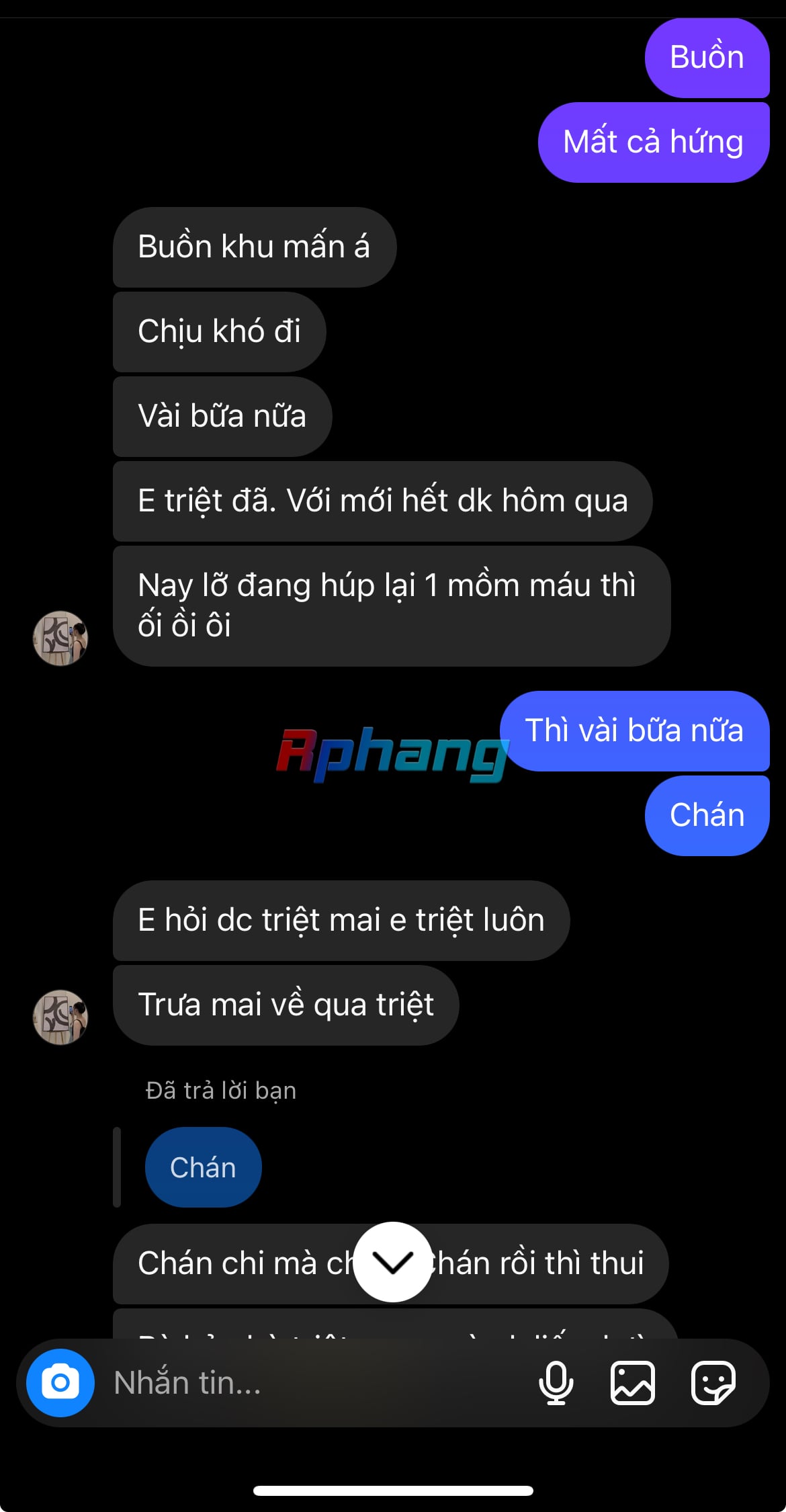 IMG_6513.jpeg