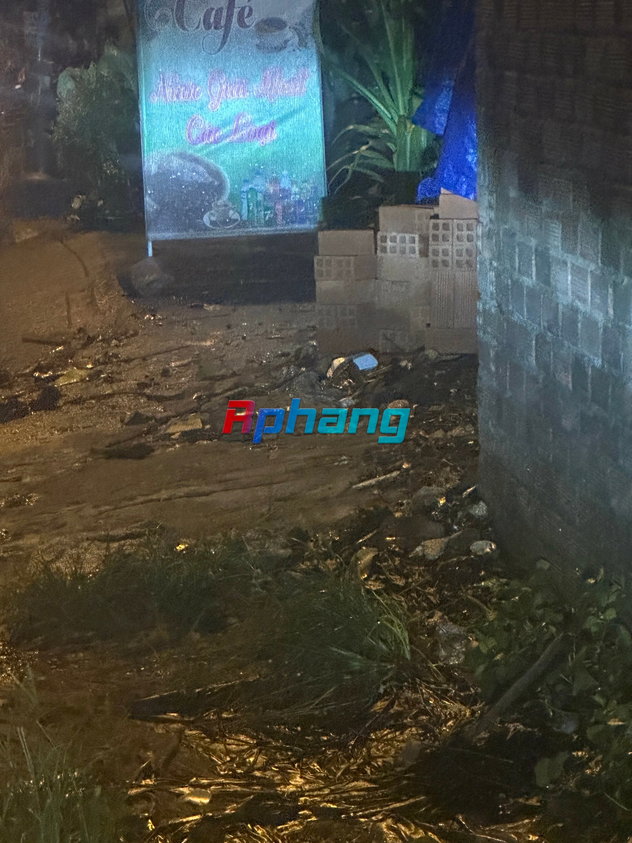 IMG_0728.jpeg