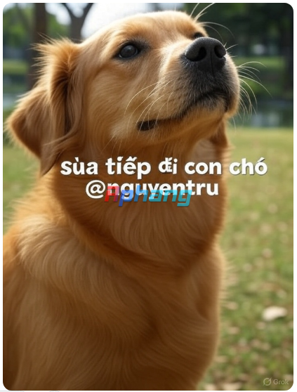 1755024269883.png