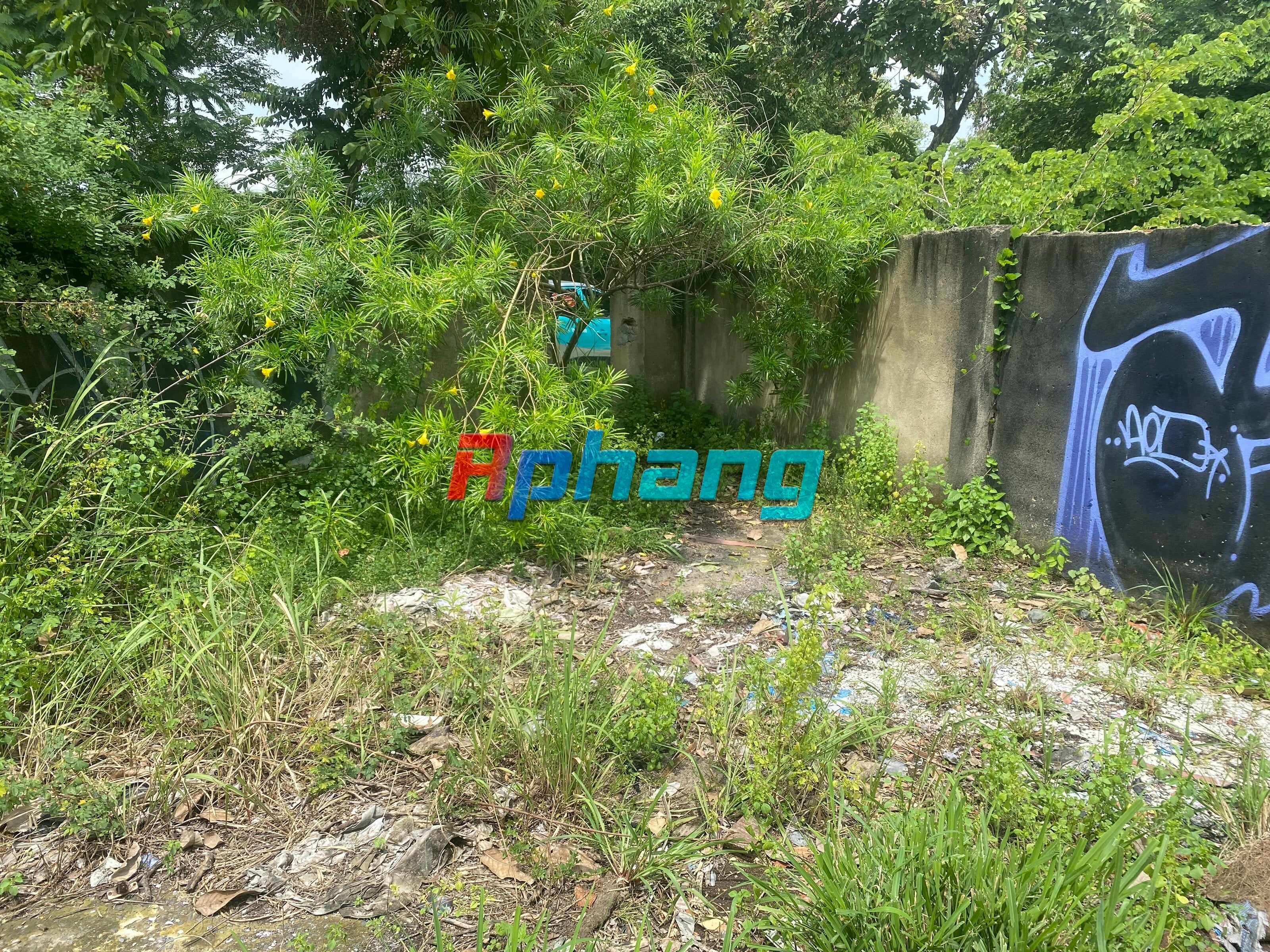 IMG_0338.jpeg