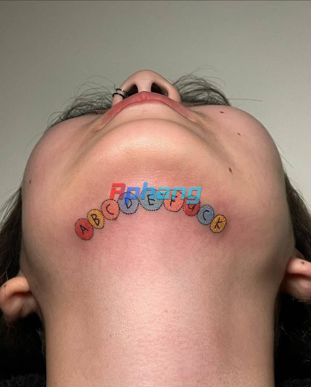 IMG_2314.jpeg