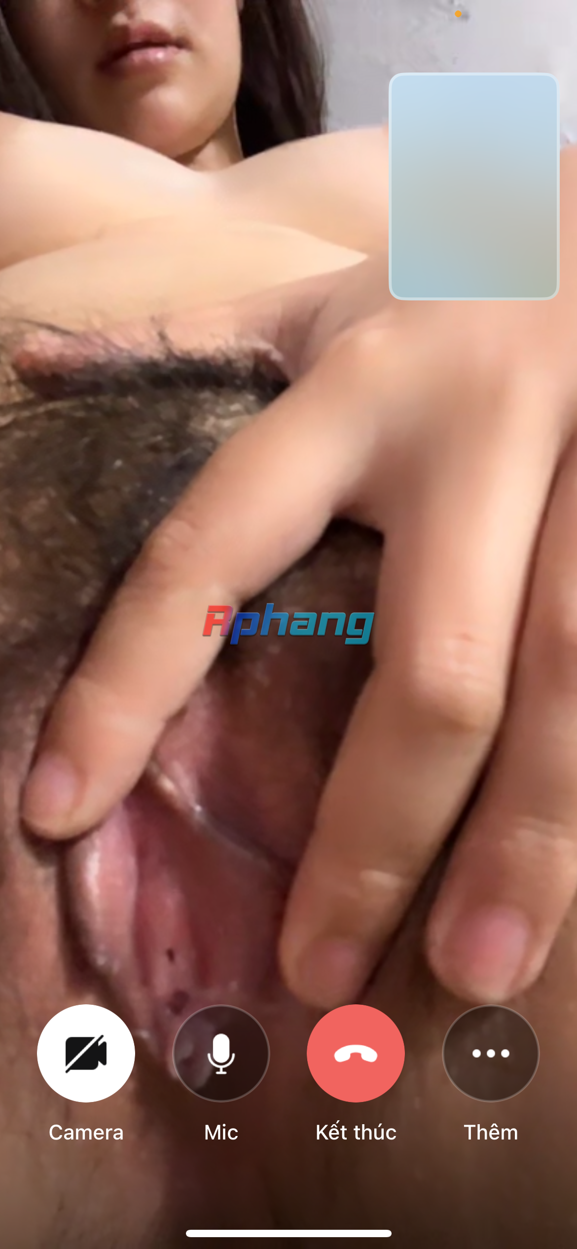 IMG_7900.png