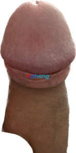 1758178507448.png