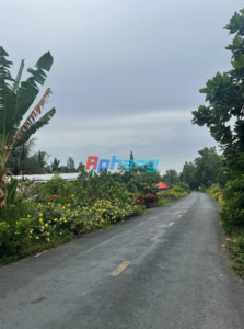 Ảnh màn hình 2025-09-19 lúc 12.21.56.png