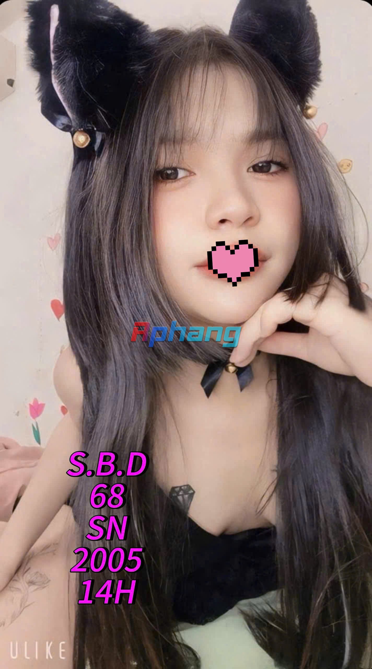 68..jpg