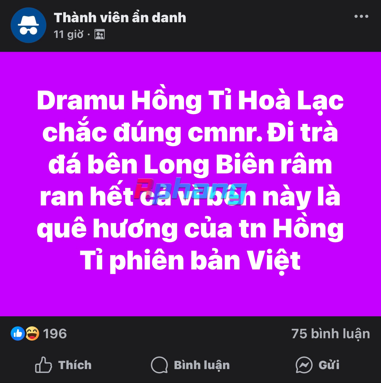 A3D49374-41C2-4CCB-B35D-07635E6D2C1B.jpeg