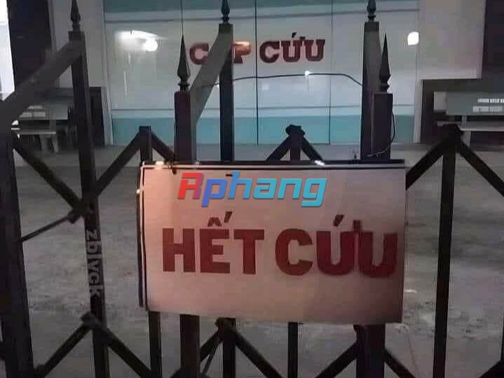received_653279006697806.jpeg