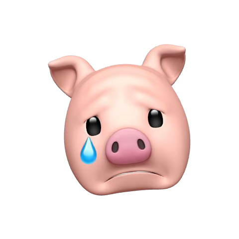 1762496998217.png
