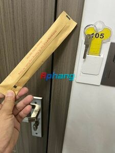 IMG_9784.jpeg