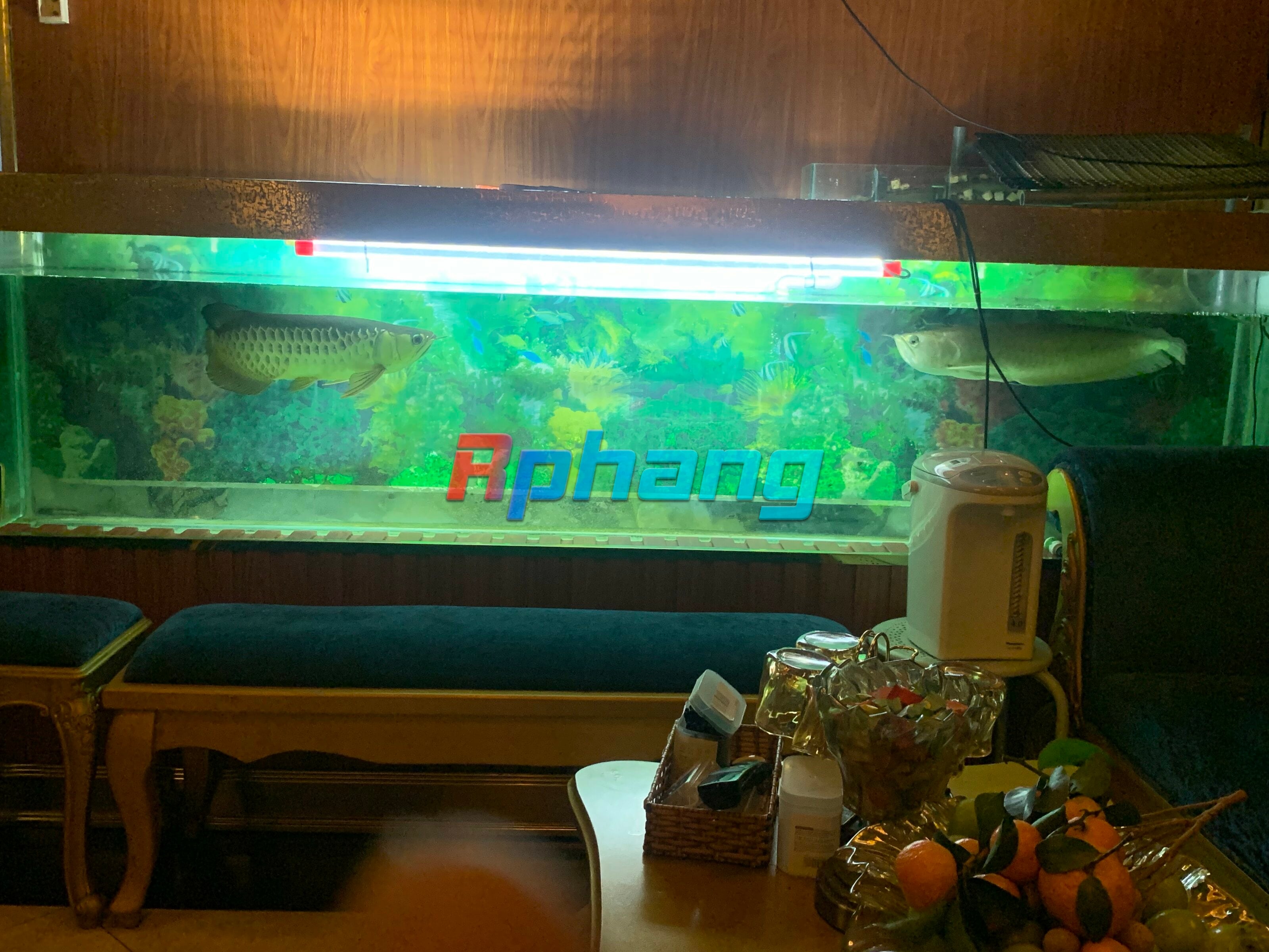 5044C153-409E-494D-8401-E59AA080C038.jpeg