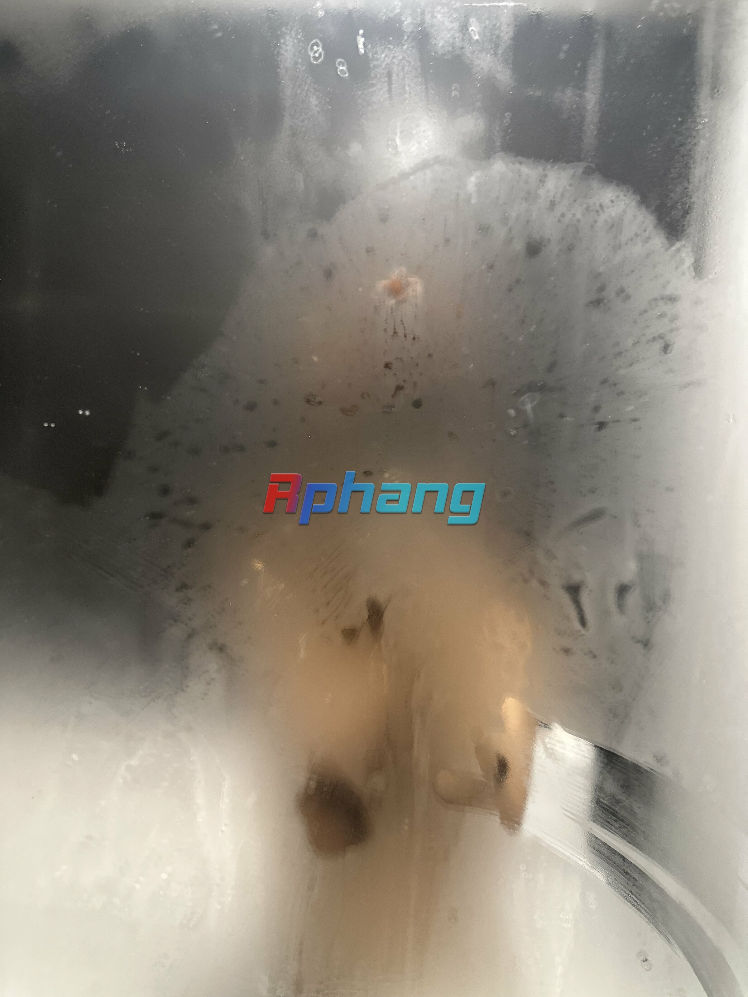 74679355832__1E6E9F3C-A0BE-45C3-894A-7F16B515F816.jpeg