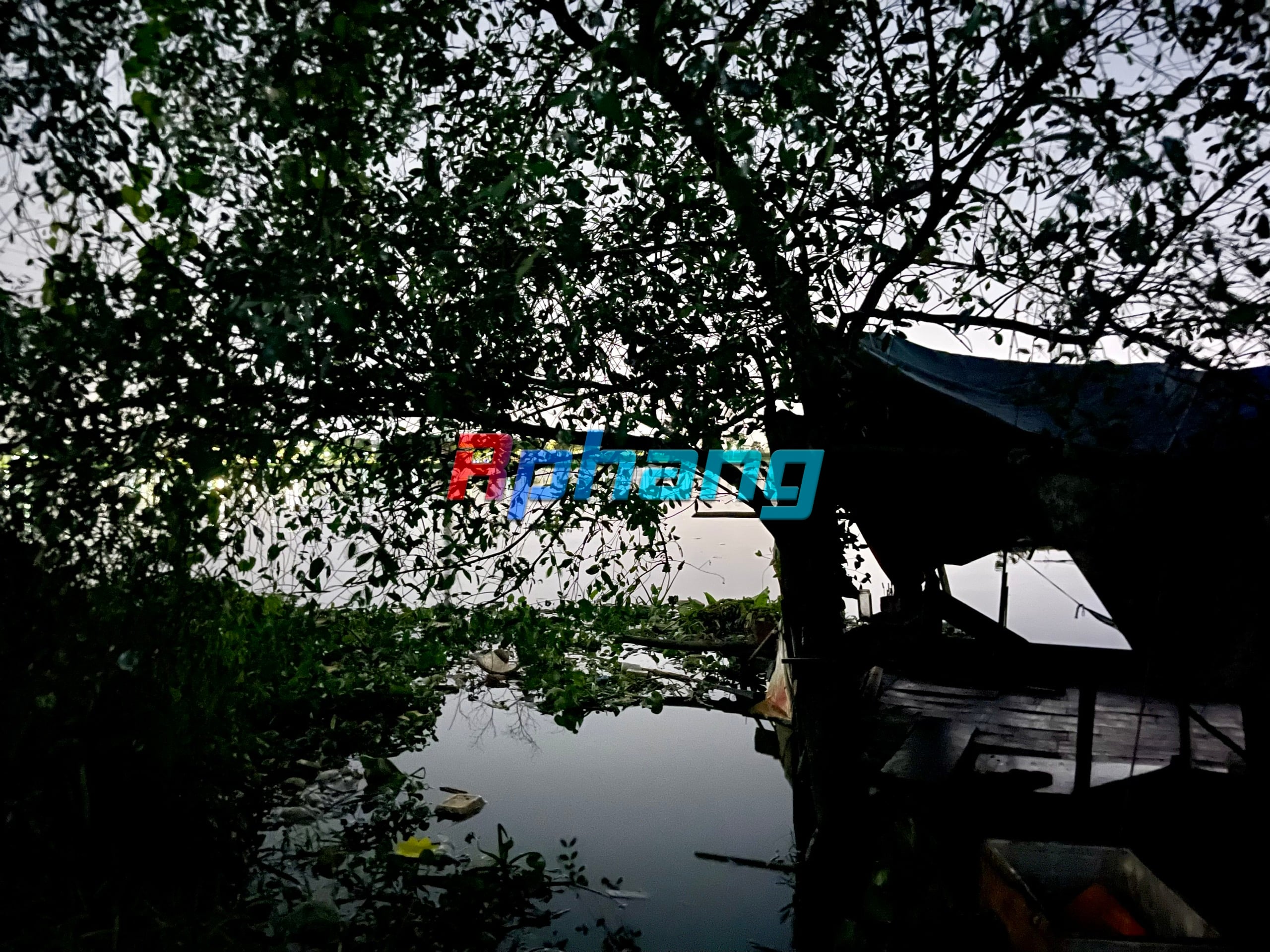 outdoor.jpg