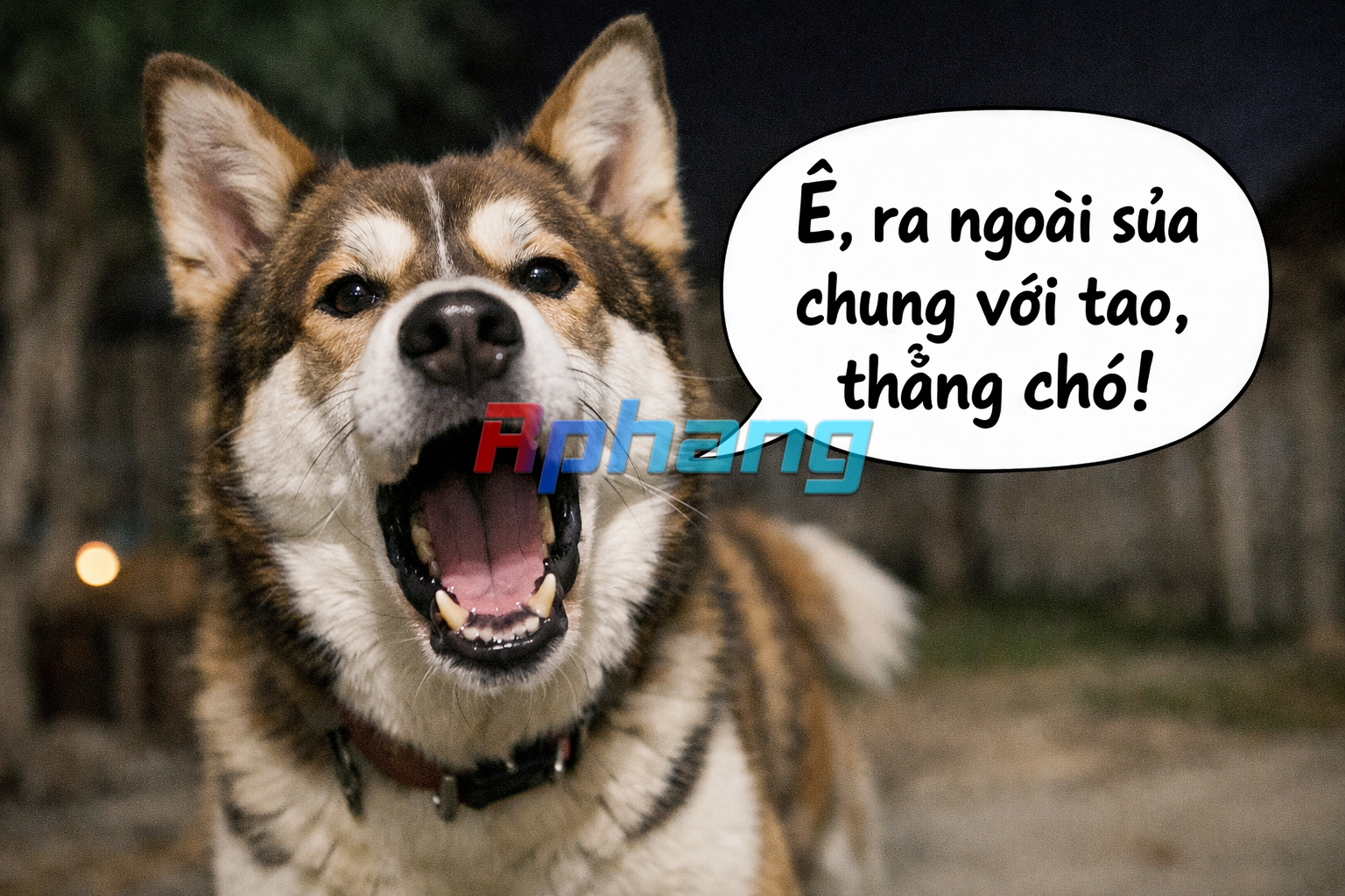 E_ra_ngoai_sua_chung_voi_tao_thang_cho.png