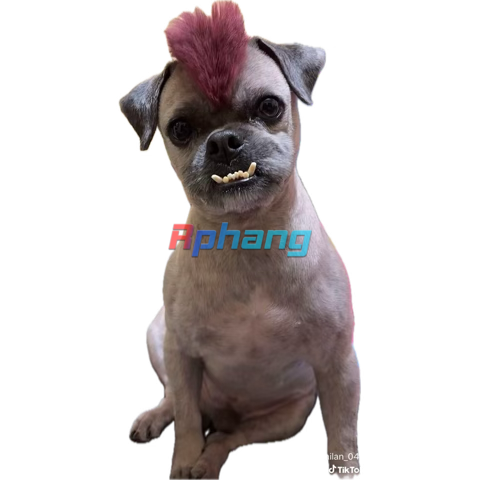 1769489469891.png