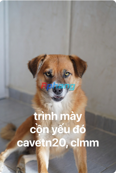 1769610562799.png