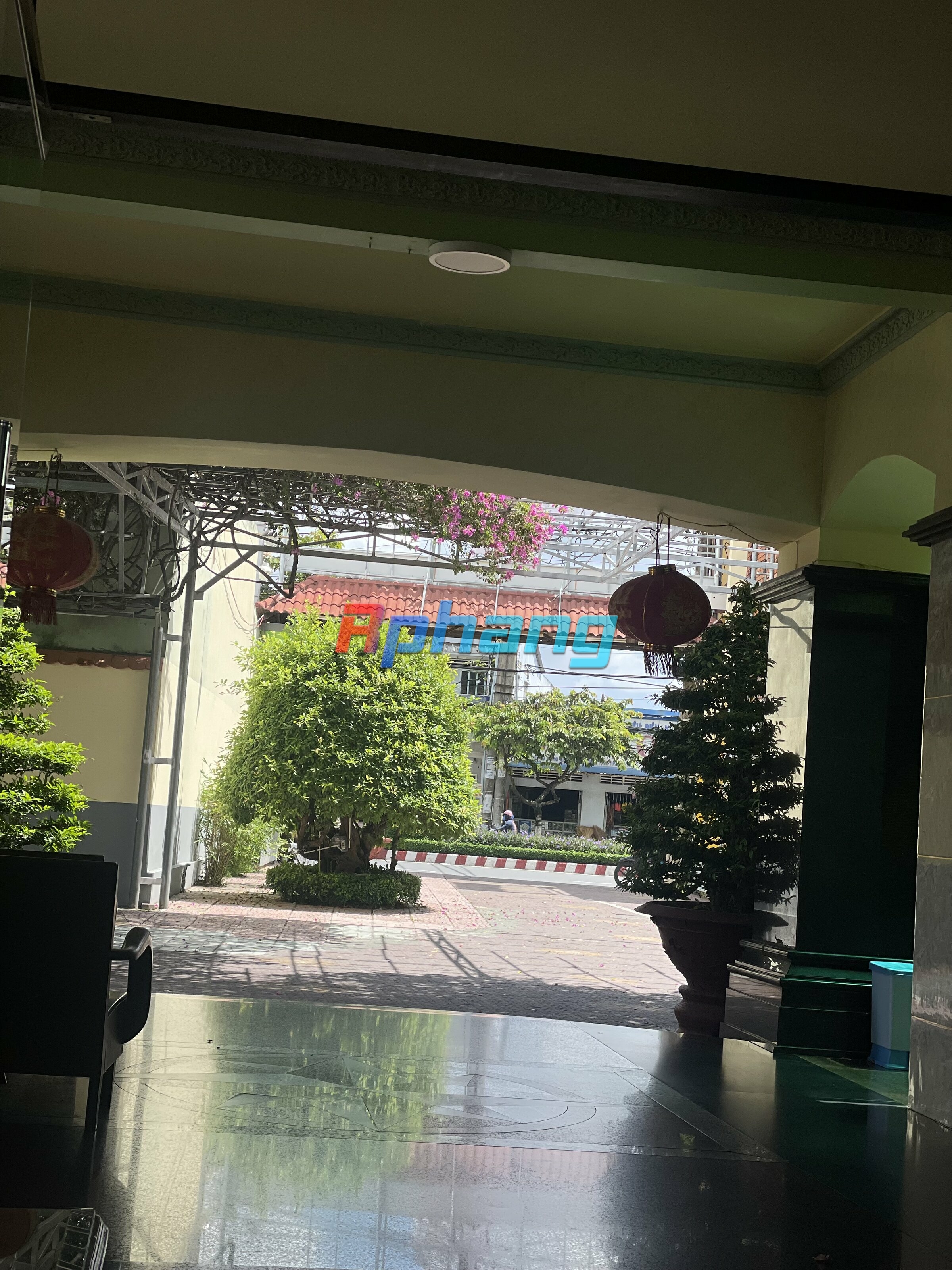 IMG_1143.jpeg