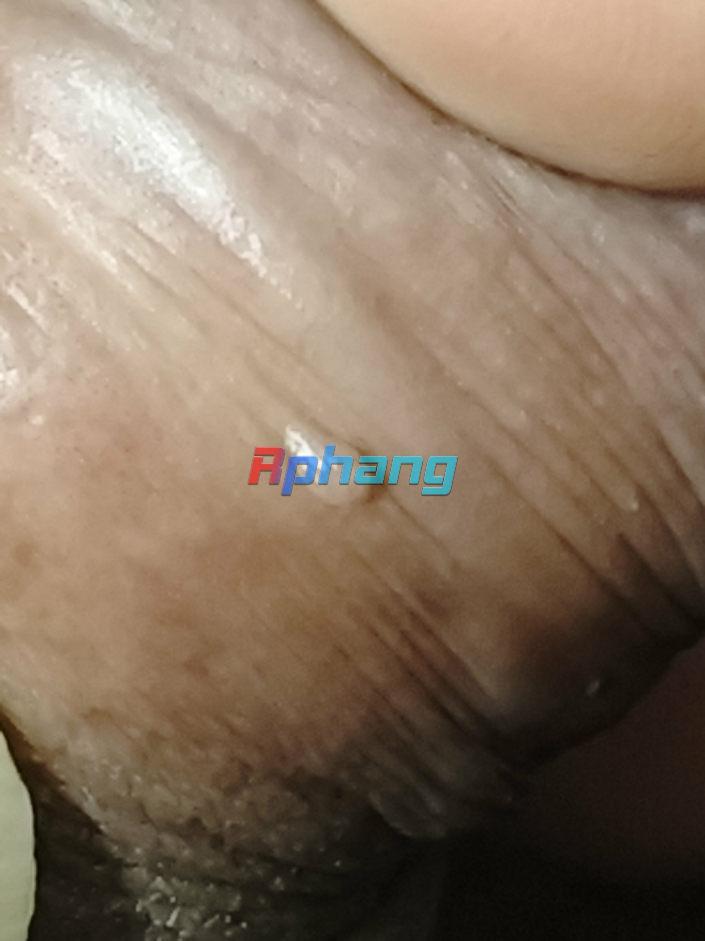 1769946407787.jpg