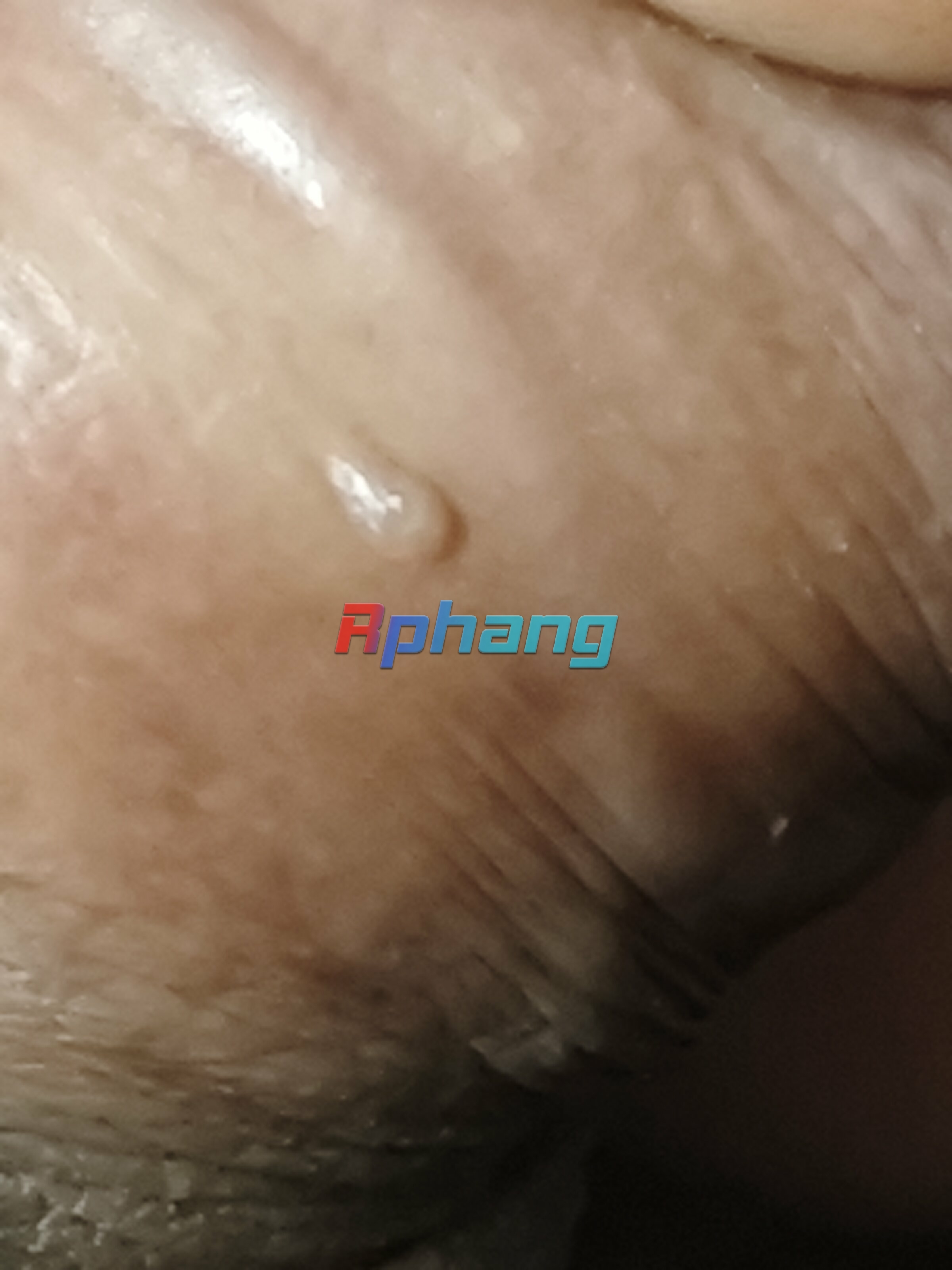 1769946445284.jpg