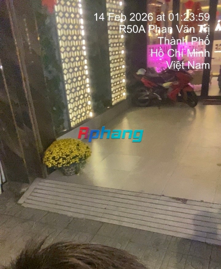 TC_01202.jpeg