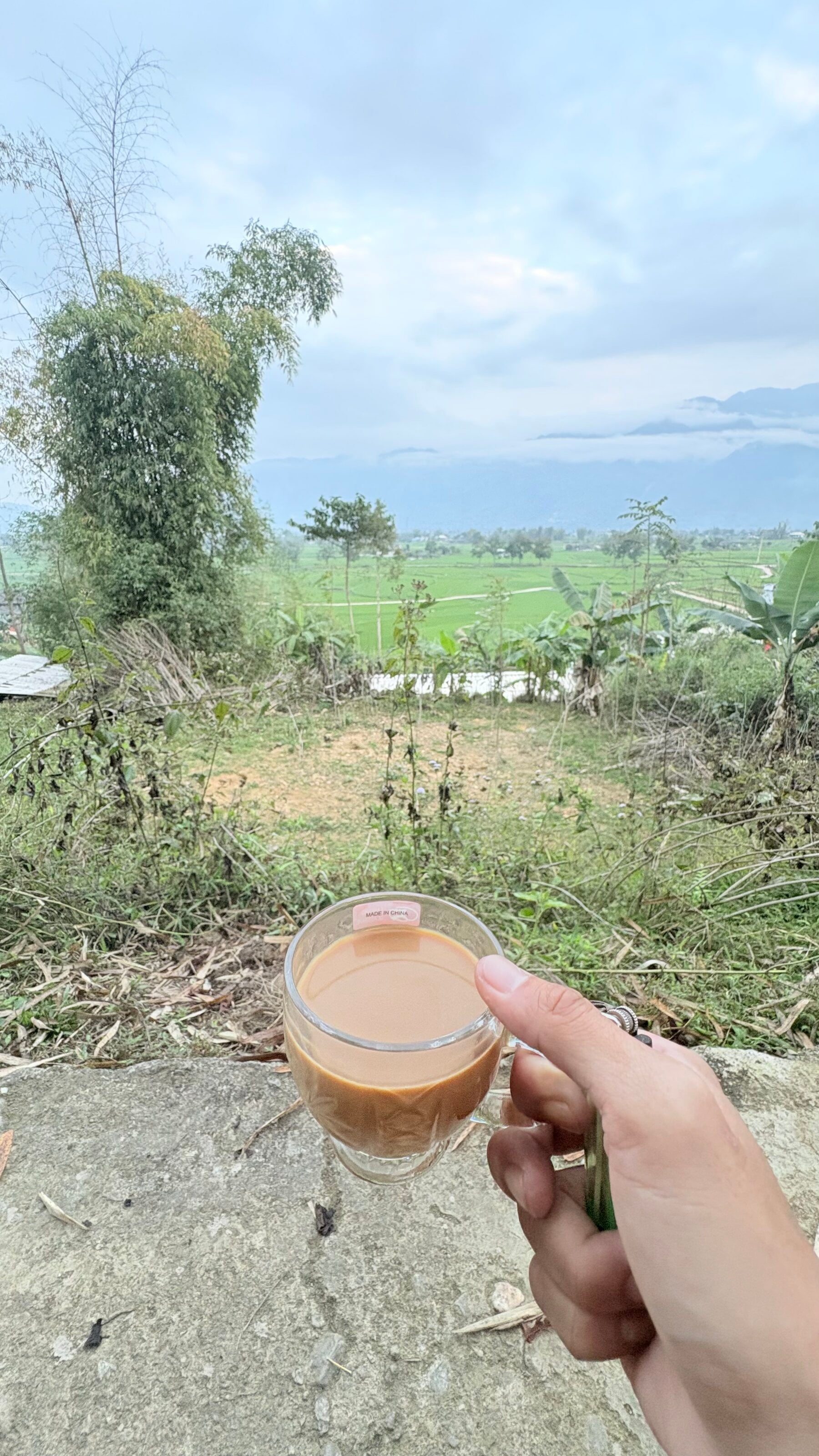 IMG_0073.jpeg