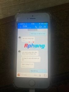 IMG_3010.jpeg