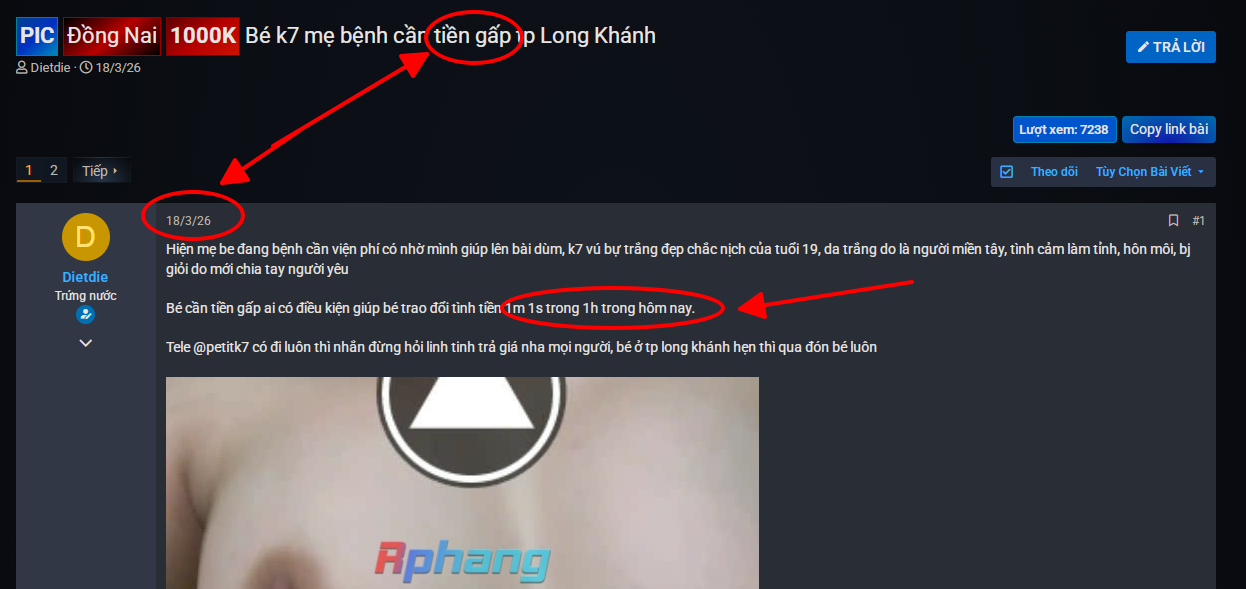 1774686924816.png